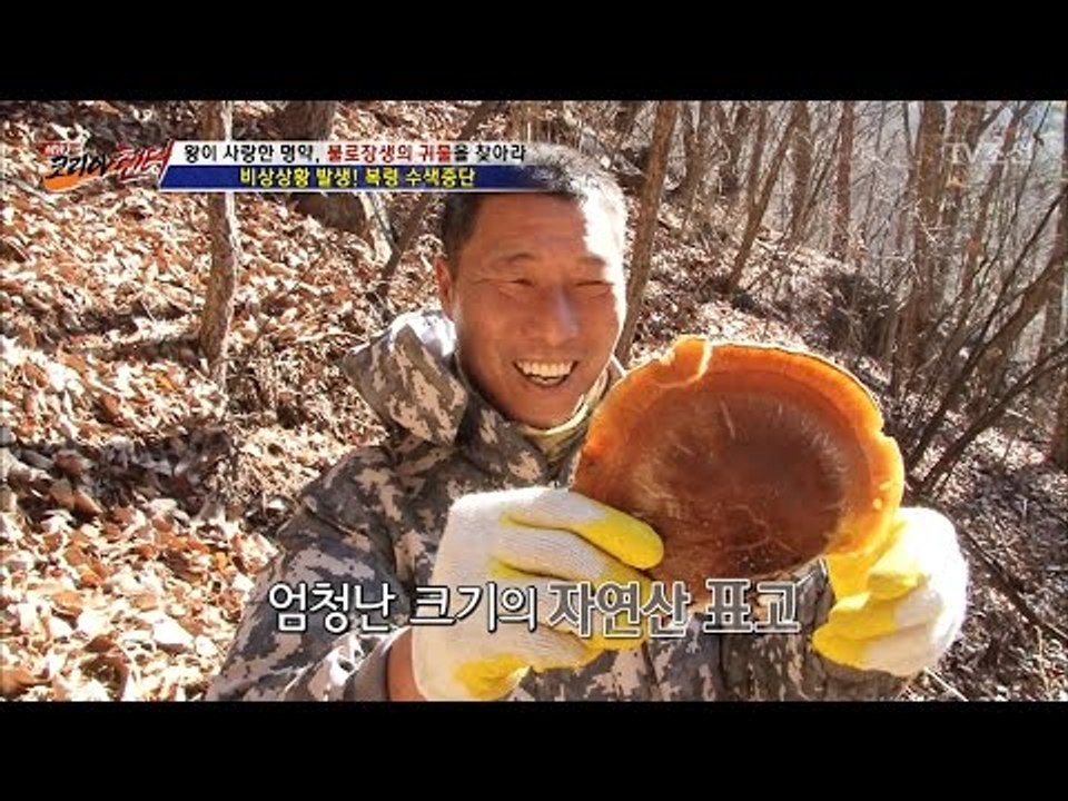 헉! 엄청난 크기의 자연산 표고버섯! [뉴 코리아 헌터] 34회 20170123