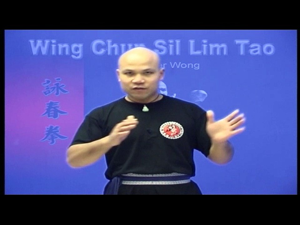 Master Wong  Wing Chun Sil Lim Tao DVD 1