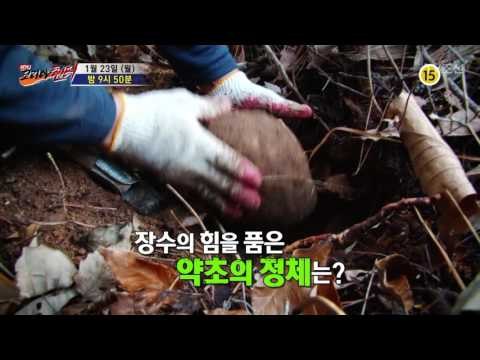 동의보감 속 전설의 명약을 찾아라!_코리아헌터 34회 예고