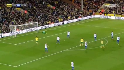 David Stockdale Own GOAL | Norwich 2-0 Brighton 21.04.2017 HD