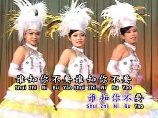 林光德Lin Guang De - 长青魅力恋歌 2【泪的衣裳】