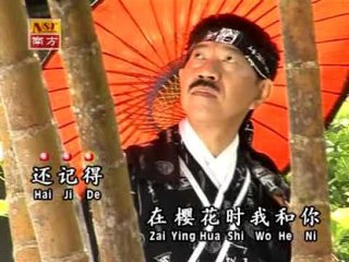 林光德Lin Guang De - 长青魅力恋歌 2【樱花泪】