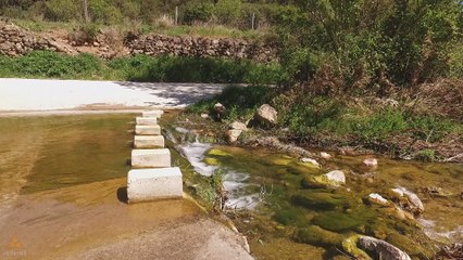 1 HOUR : Gentle River - Nature Relaxation (HQ 1080p)