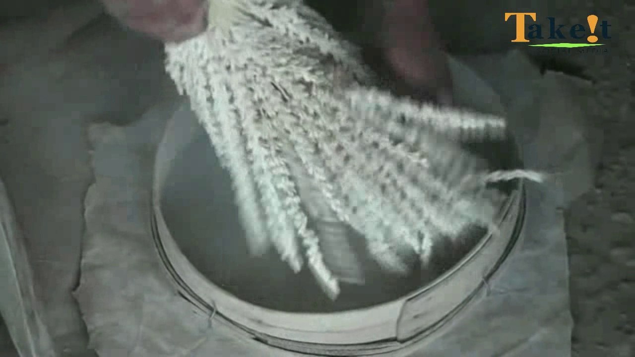 How to Extract Palm Pollen Dust