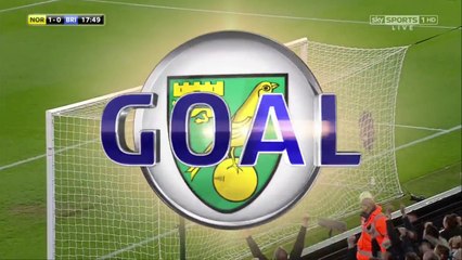Norwich City 2 - 0 Brighton - All Goals HD - 21/04/2017