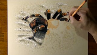 Drawing 3D Spider - How to draw 3D Art-tINjGgv95dc