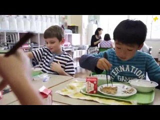 Japonya'da ilkokullar ve eğitim sistemi