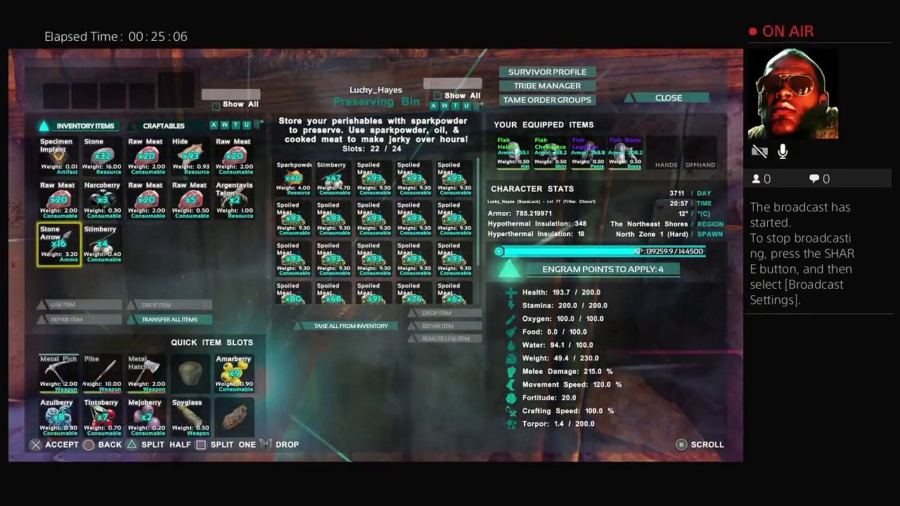 Ark (7)