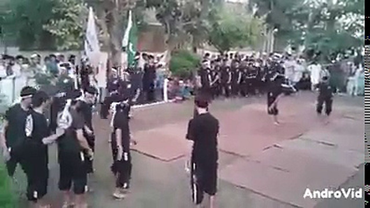 pakistani mujahdeen