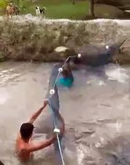 Como pegar varios peixes de uma vez só