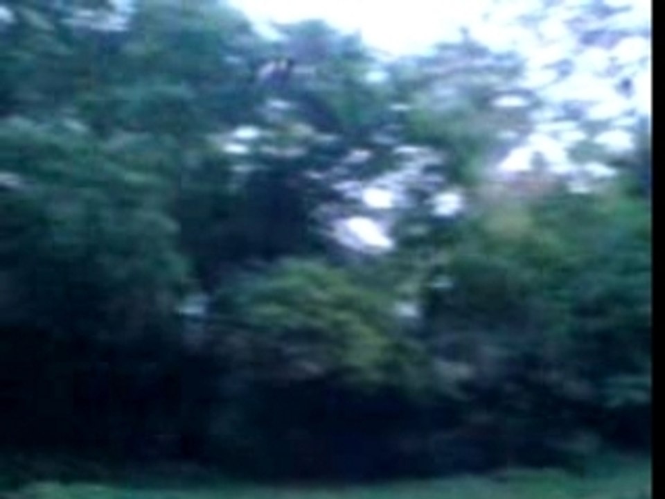 helico swiss lama d enfer!!