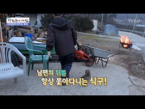 남편의 뒤를 항상 쫓아다니는 식구는? [광화문의 아침] 405회 20170119