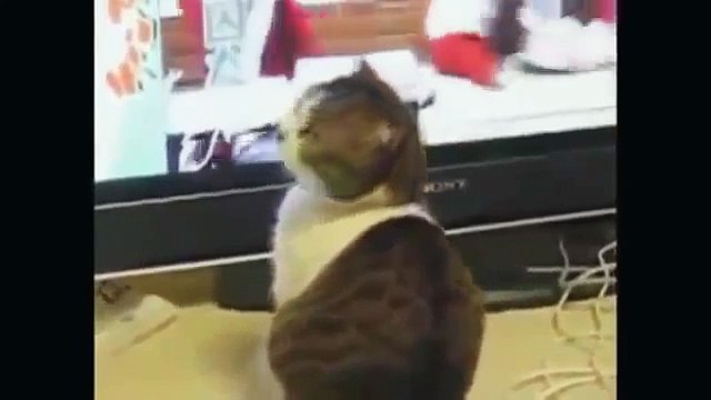 +18 O VIDEO MAIS ENGRAÇADO DO MUNDO JANEIRO 2017 (6) FUNNY,DIVERTIDO,おかしいです,lucu,이상한,drôle