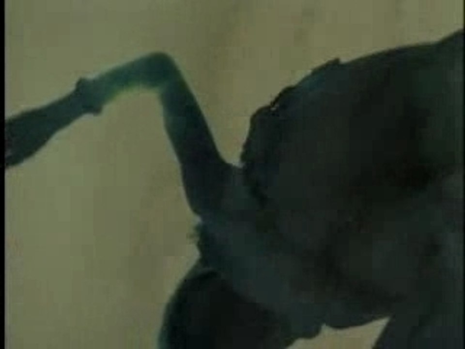 Miyavi - PV - Coo Quack Cluck(Movie Version)