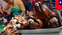 Taiwan melarang konsumsi daging anjing & kucing, menjadi negara pertama di Asia yang melakukannya - Tomonews