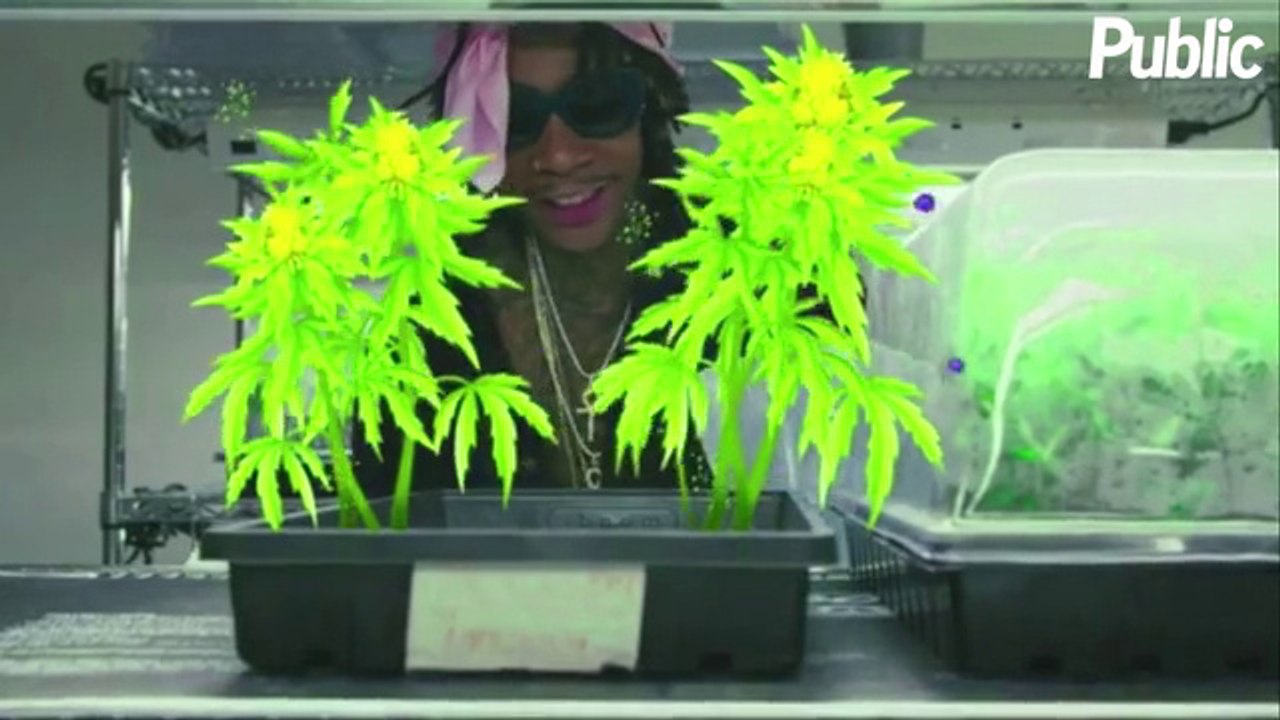 Vidéo : Wiz Khalifa : Son ultime provocation avec le jeu "Wiz Khalifa’s Weed Farm" !