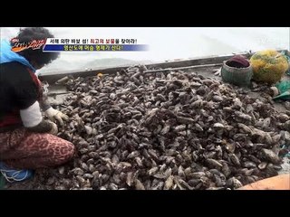 영산도의 홍합 캐기 선수! [뉴 코리아 헌터] 33회 20170116
