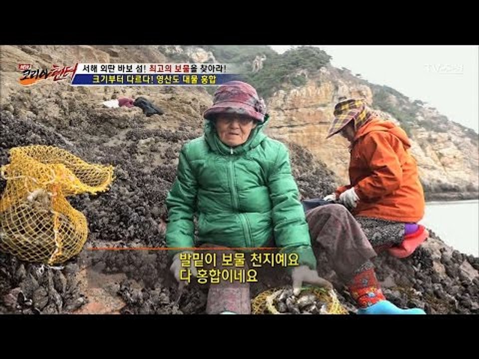영산도, 대물 홍합이 천지에 깔린 보물섬! [뉴 코리아 헌터] 33회 20170116