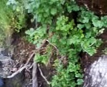 easy traffic to your site at these great surf sites