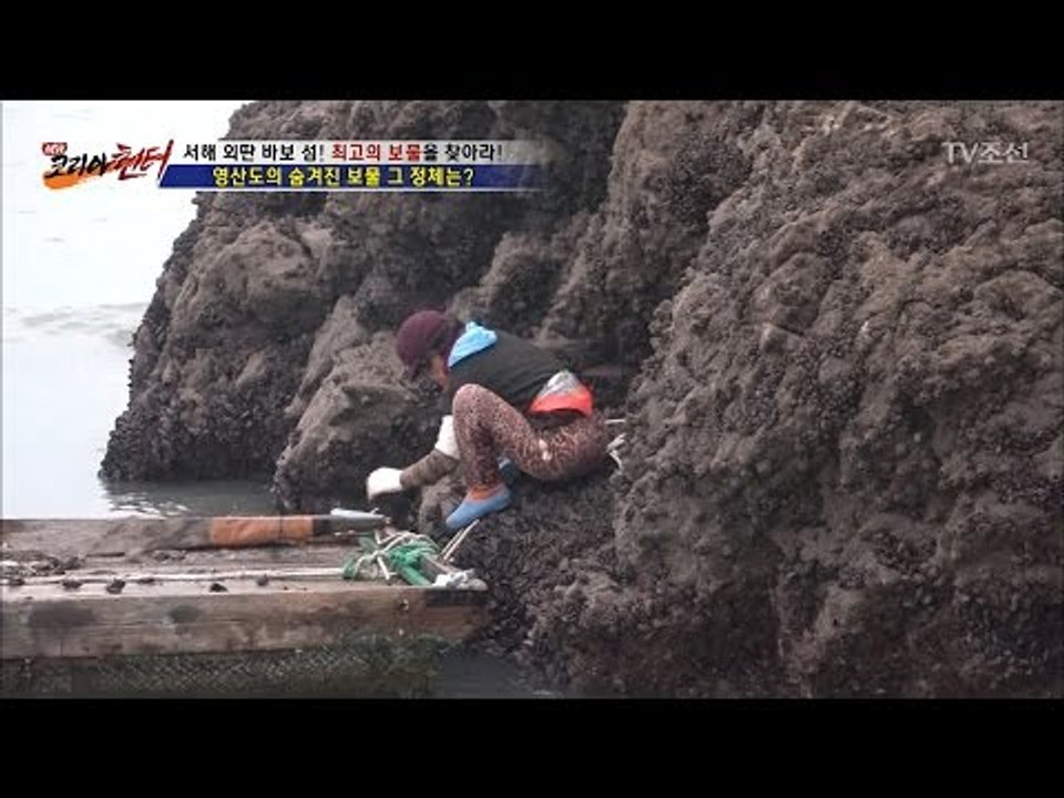 서해 영산도에 숨겨진 보물! 과연 그 정체는? [뉴 코리아 헌터] 33회 20170116