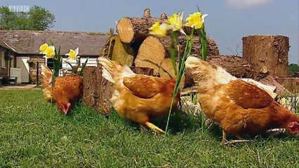 Big Barn Farm - S1E13. Hot and Sticky Day