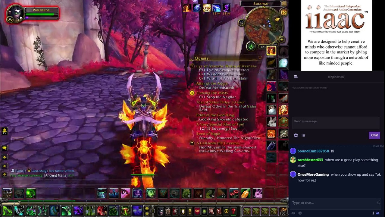 The most Unprofessional Stream World of Warcraft Demon Hunter 2017-093 World Quests in Suramar pt 2