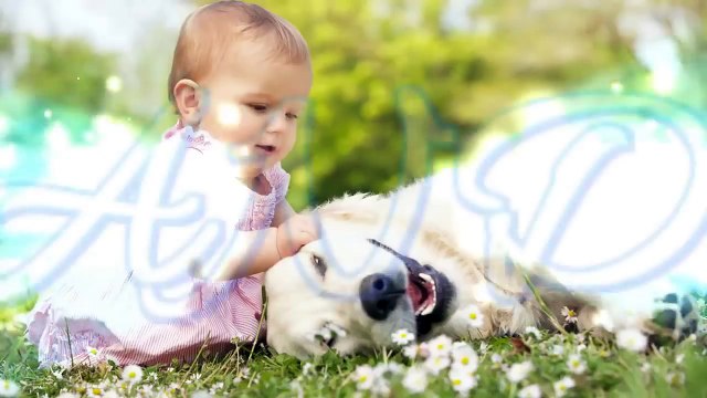 Cute Dog babysitting Dog loves baby when the first time they met