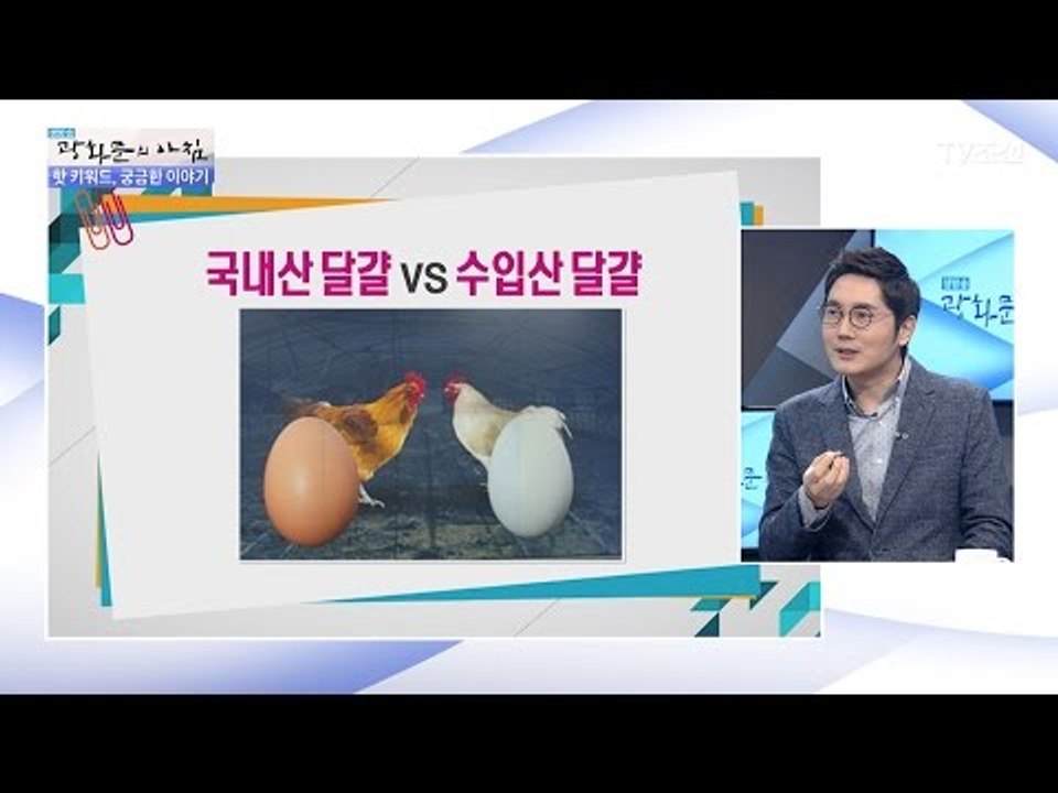 알고 먹자! 국내산 달걀과 수입산 달걀의 차이점 [광화문의 아침] 402회 20170116