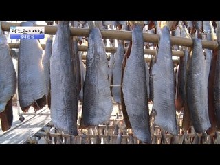 과메기의 원조는 청어다! 주렁주렁매달린 과메기 [광화문의 아침] 402회 20170116