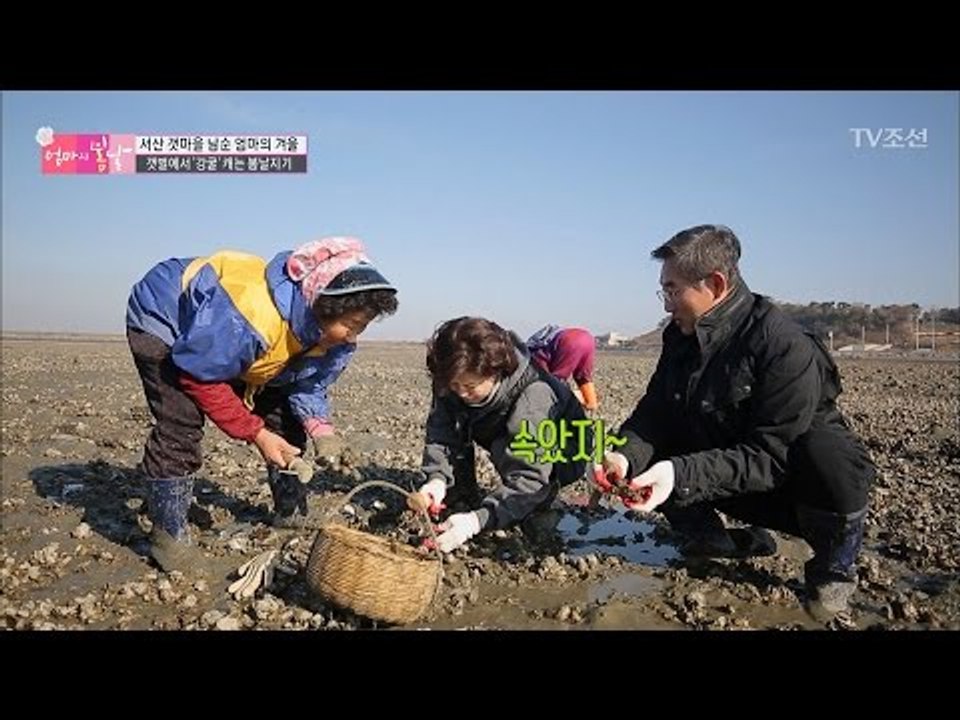 간월도 굴에 푹 빠진 봄날지기! [엄마의 봄날] 72회 20170115