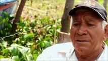 Aves se disputan los peces con lugareños en lago de El Salvador