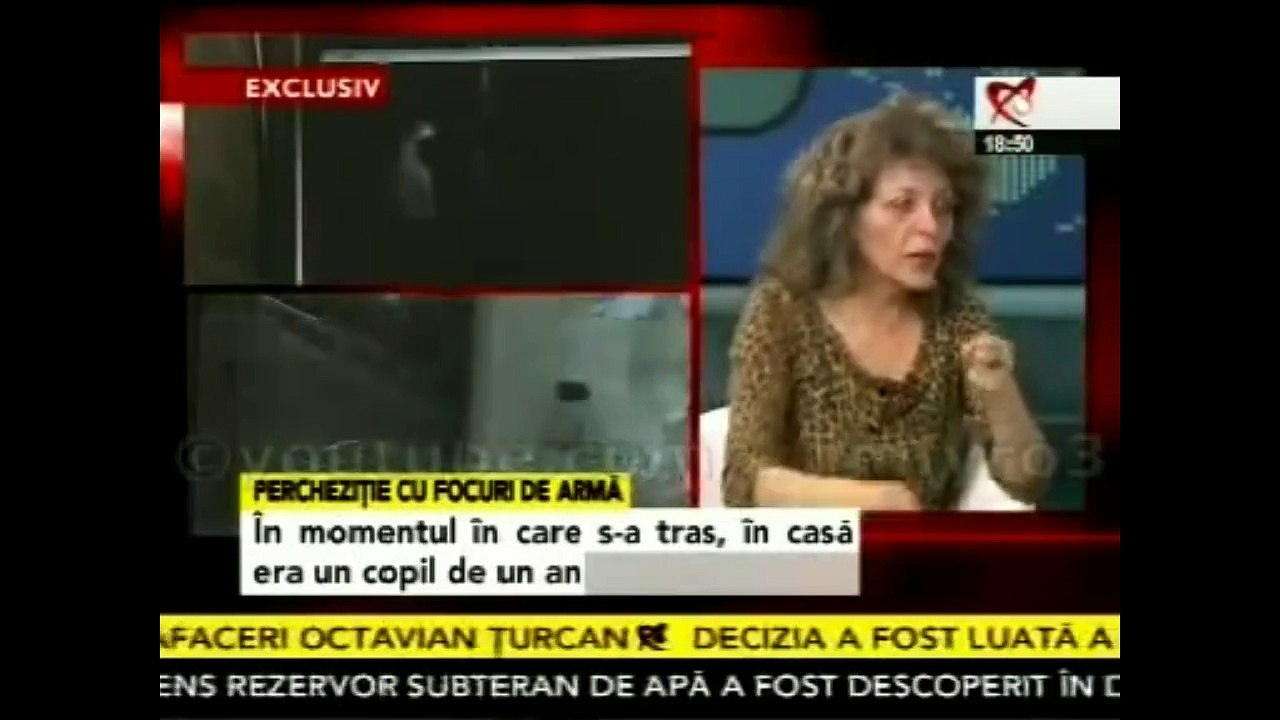 Vadim despre caini