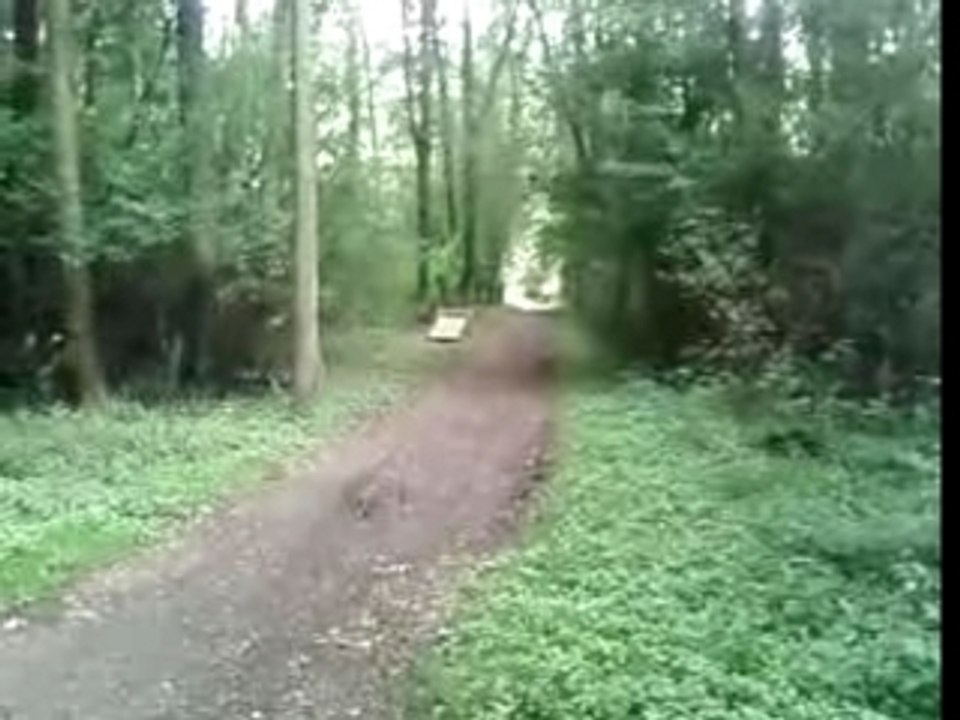 balade en foret ^^