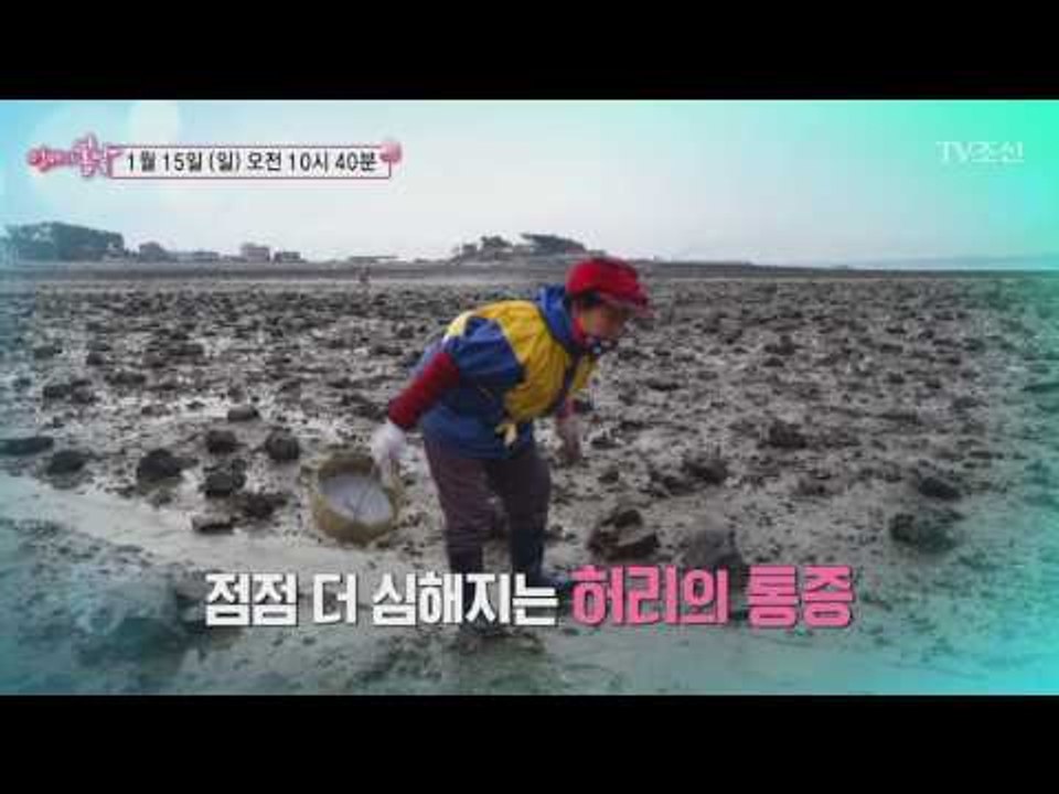 서산 갯마을 남순 엄마의 겨울_엄마의 봄날 72회 예고