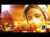 Da Fatima a Medjugorje - il piano di Maria per un futuro di Pace  