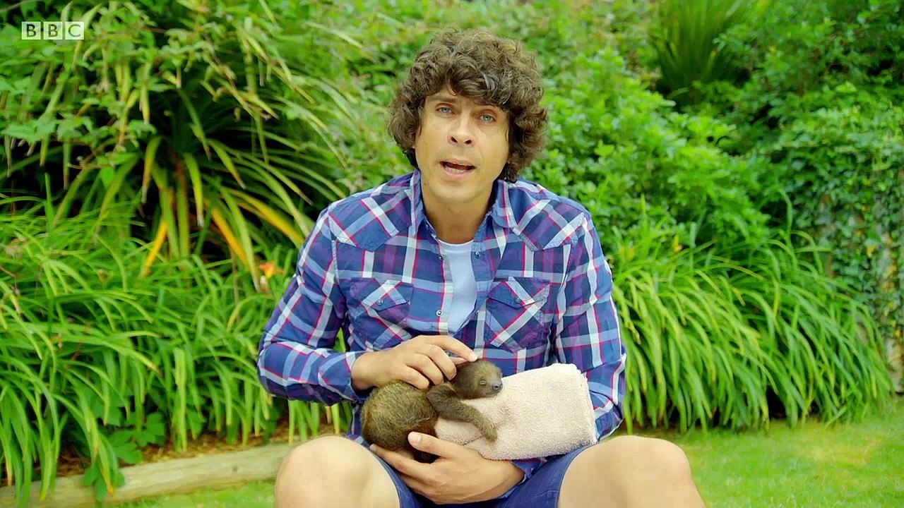 andy-s-baby-animals-10-bedtime-video-dailymotion