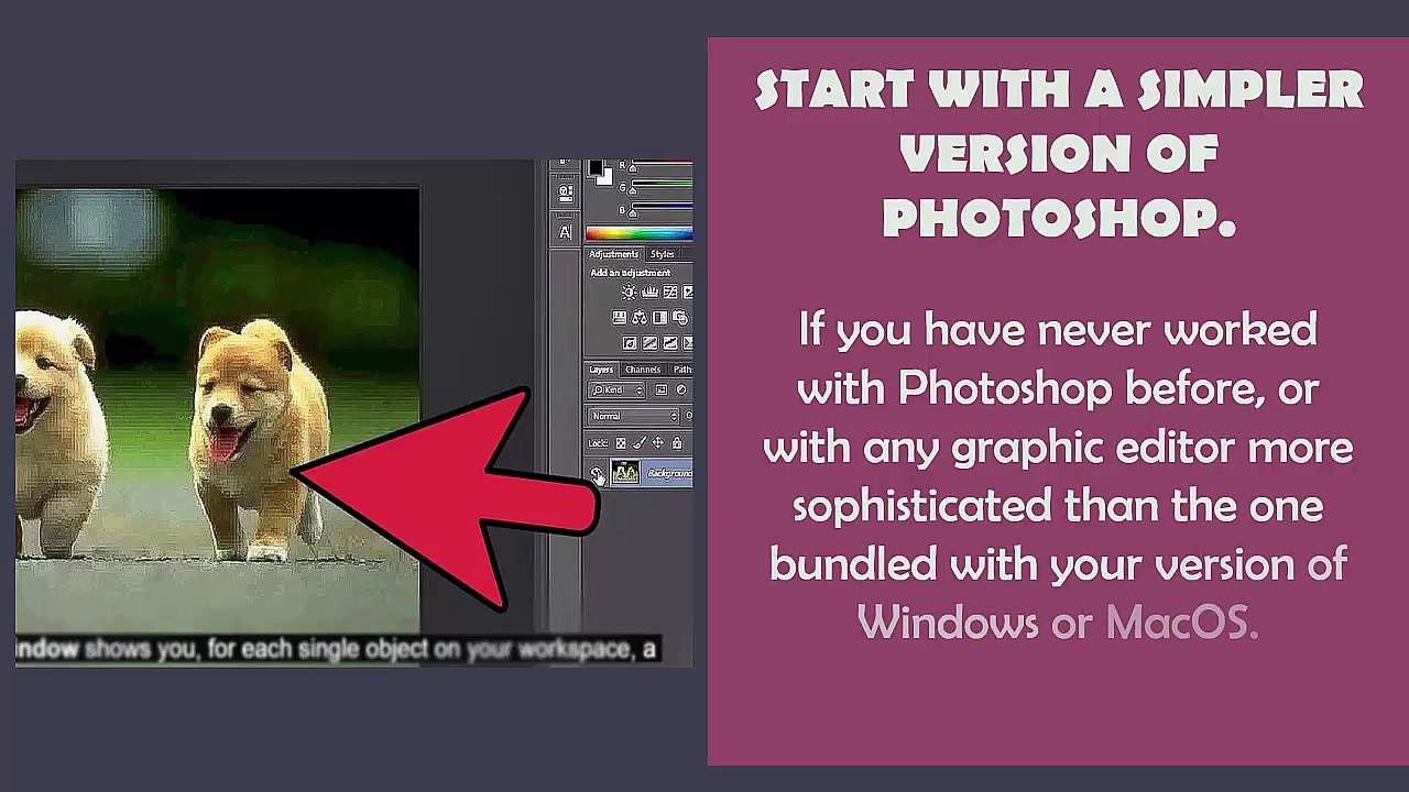 Beginner Steps to Use Photoshop