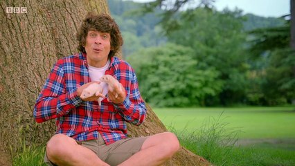 Andy's Baby Animals - 19. Exploring