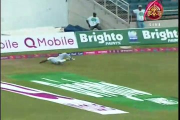 wahab riaz Outstanding Catch in 1st Test Match