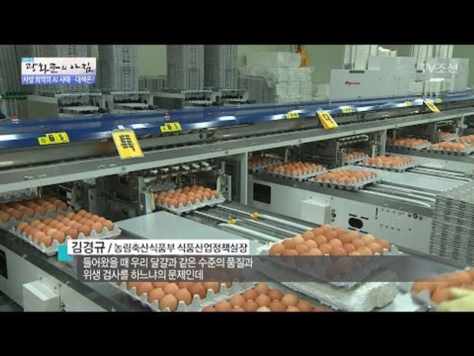 첫 수입 달걀, 믿고 먹을 수 있나? [광화문의 아침] 400회 20170112