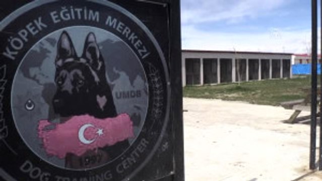 Hassas Burunlar Uyuşturucuya Geçit Vermiyor - Van