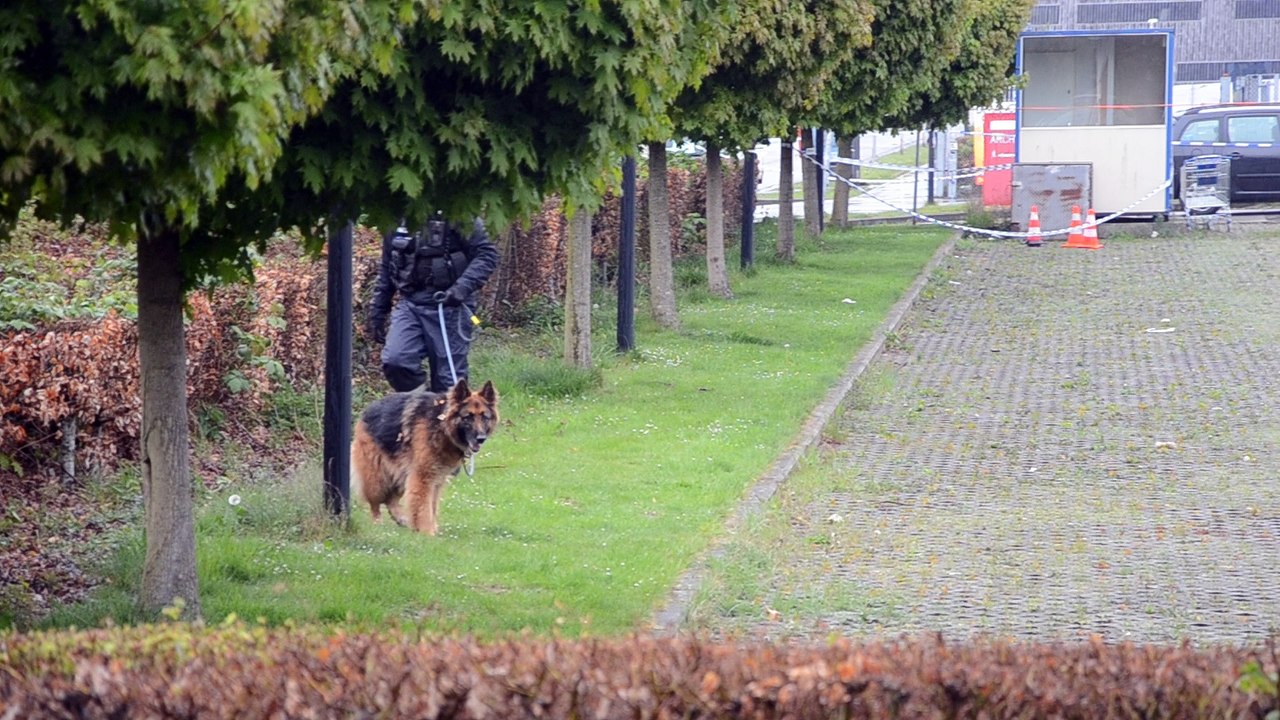 Mons Expo - un chien pisteur sur le site
