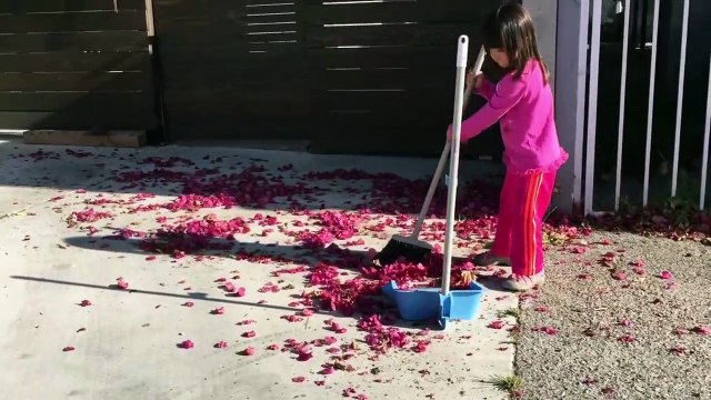 Attend je vais t'aider à ramasser les feuilles, à 2 ça ira plus vite... Ou pas !