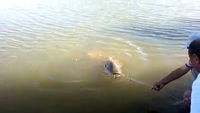 Yayın Balığı Avı Muhteşem