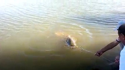 Yayın Balığı Avı Muhteşem