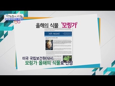 슈퍼푸드 모링가, 300가지 질병 치료! [광화문의 아침] 382회 20161219
