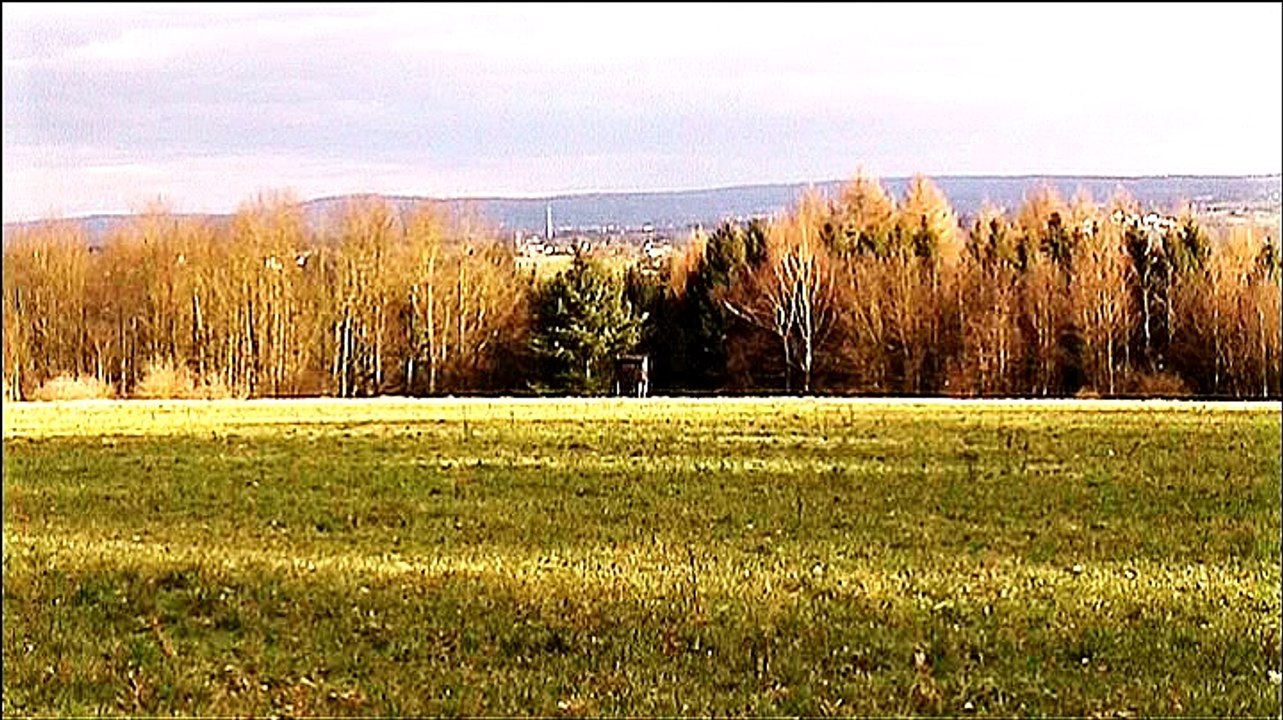 Auf großer Tour den Natursteig Sieg entlang – 2