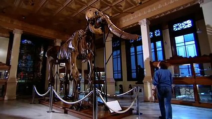 Extinct - The Mammoth