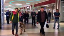Quand tu croises un tigre dans ton centre commercial merci les russes