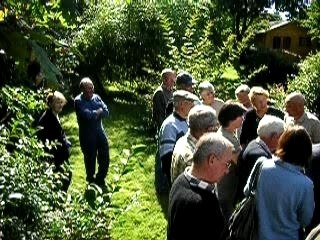 Causerie sur l'Araujia : Tueuse d'abeilles et de Papillons